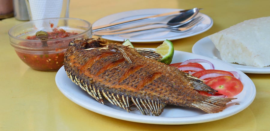 Top Dining Spots for food lovers visiting Kisumu – Dala Pacho